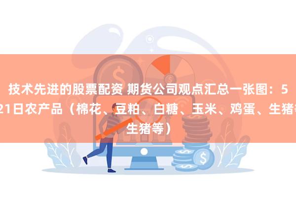 技术先进的股票配资 期货公司观点汇总一张图：5月21日农产品（棉花、豆粕、白糖、玉米、鸡蛋、生猪等）