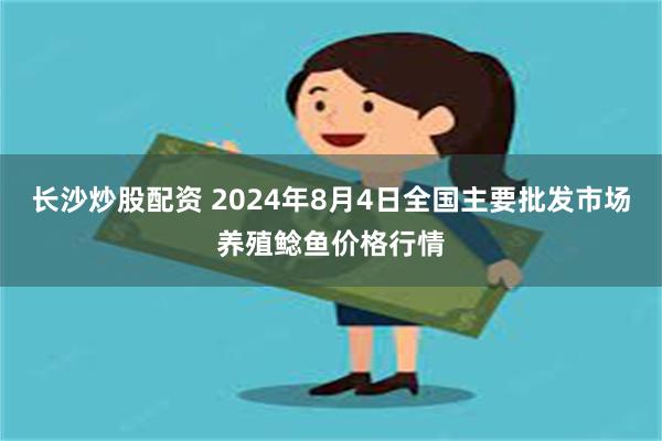 长沙炒股配资 2024年8月4日全国主要批发市场养殖鲶鱼价格行情