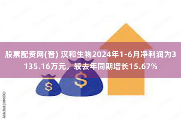 股票配资网(晋) 汉和生物2024年1-6月净利润为3135.16万元，较去年同期增长15.67%