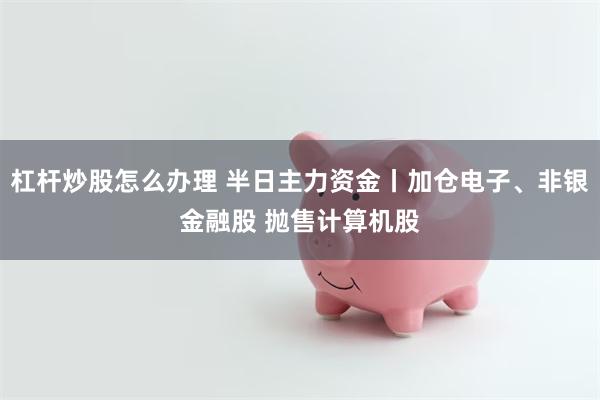 杠杆炒股怎么办理 半日主力资金丨加仓电子、非银金融股 抛售计算机股