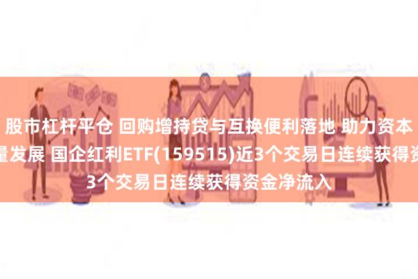 股市杠杆平仓 回购增持贷与互换便利落地 助力资本市场高质量发展 国企红利ETF(159515)近3个交易日连续获得资金净流入