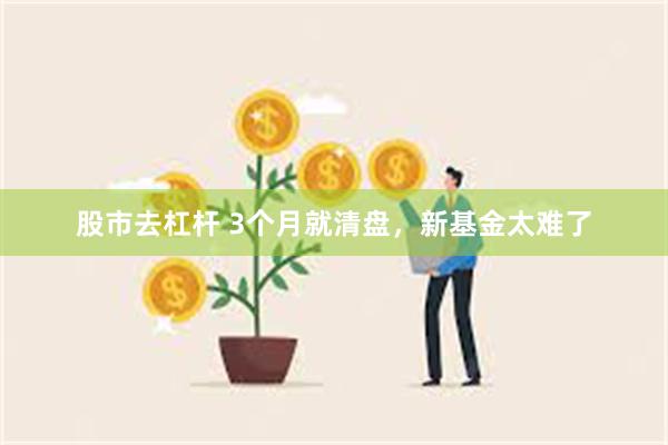 股市去杠杆 3个月就清盘，新基金太难了