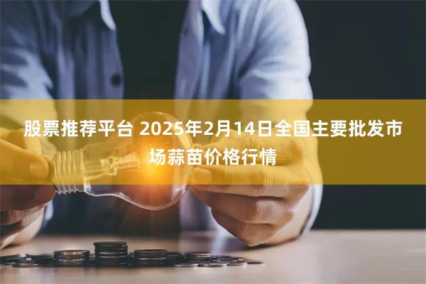 股票推荐平台 2025年2月14日全国主要批发市场蒜苗价格行情