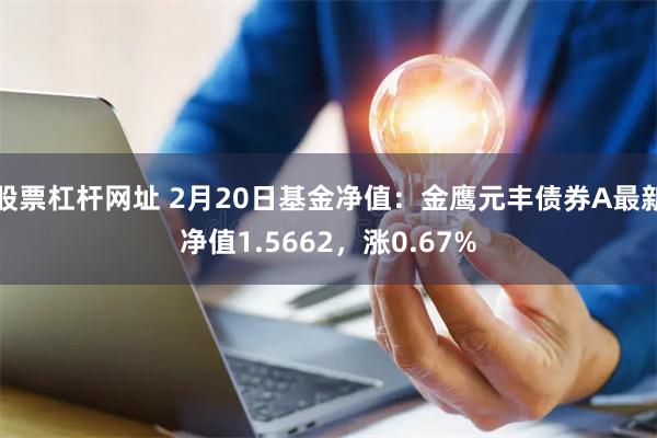 股票杠杆网址 2月20日基金净值：金鹰元丰债券A最新净值1.5662，涨0.67%