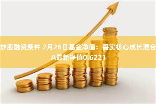 炒股融资条件 2月26日基金净值：嘉实核心成长混合A最新净值0.6221