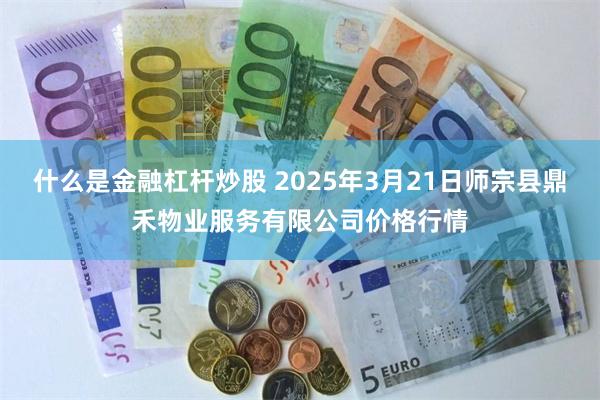 什么是金融杠杆炒股 2025年3月21日师宗县鼎禾物业服务有限公司价格行情