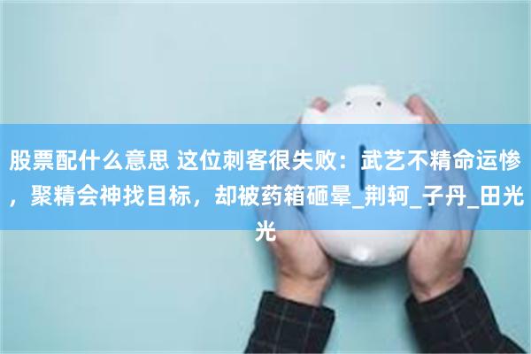股票配什么意思 这位刺客很失败：武艺不精命运惨，聚精会神找目
